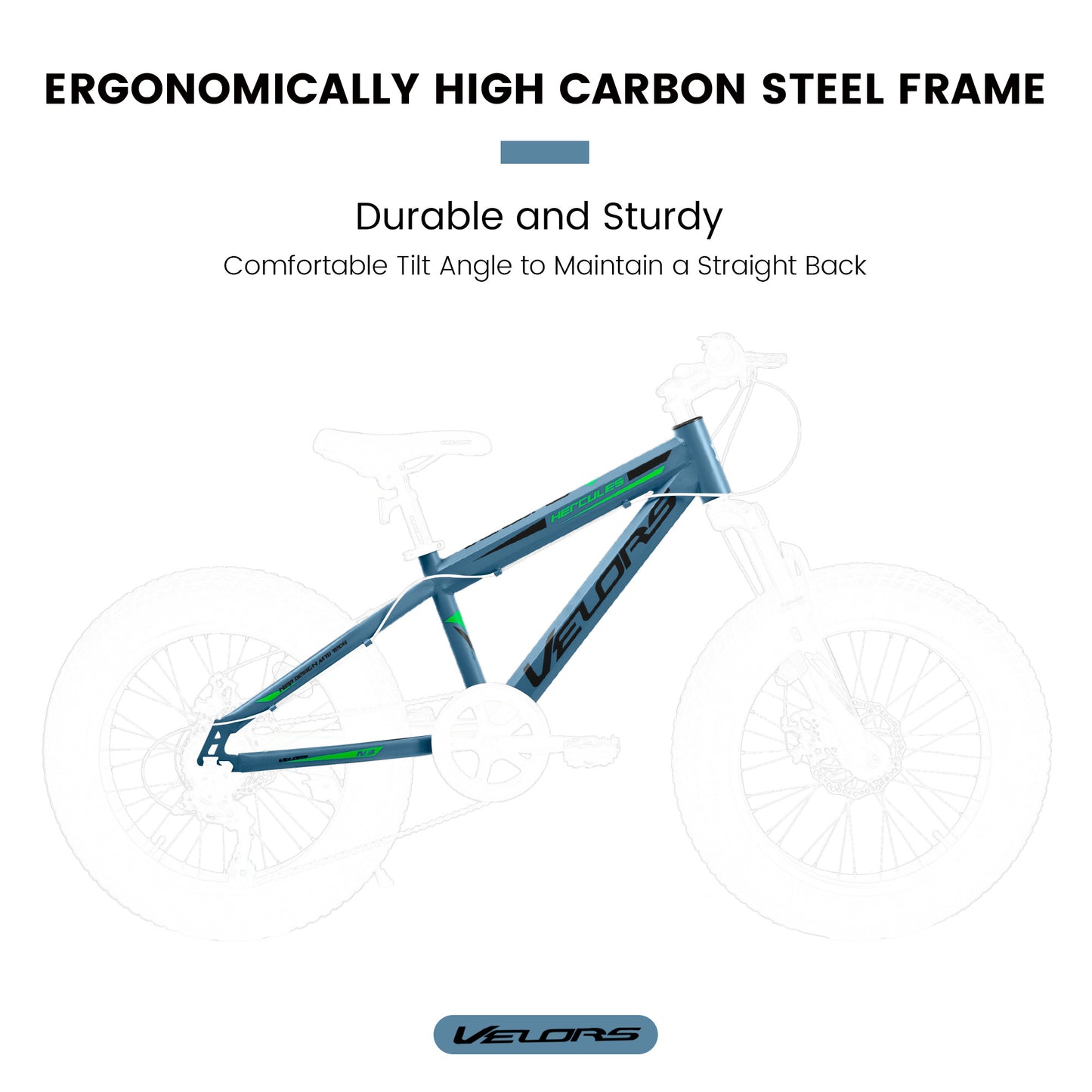 V20235 20 Inch Fat Tire Bike 7 Speed Mountain Bike