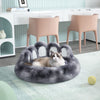 Dog or Cat Beds & Furniture