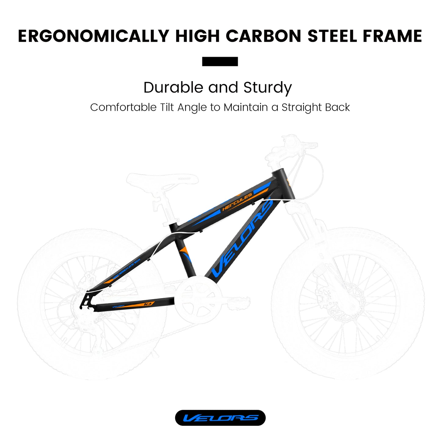 V20235 20 Inch Fat Tire Bike 7 Speed Mountain Bike