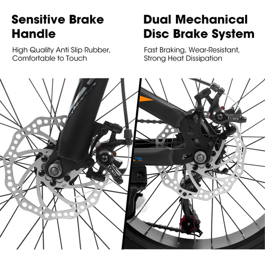 V20235 20 Inch Fat Tire Bike 7 Speed Mountain Bike