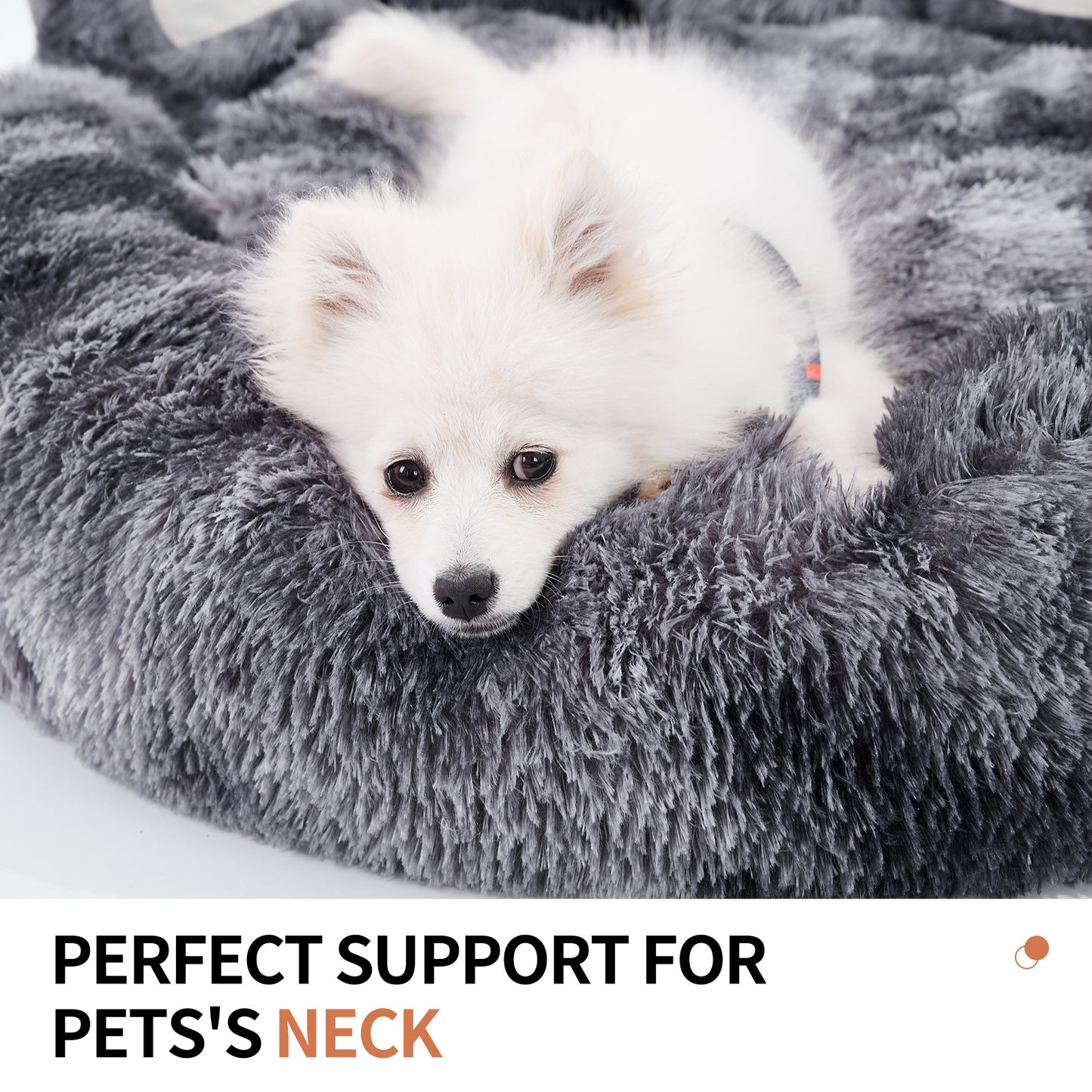 Dog or Cat Beds & Furniture