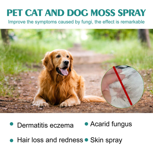 Pet Skin Medicine Spray