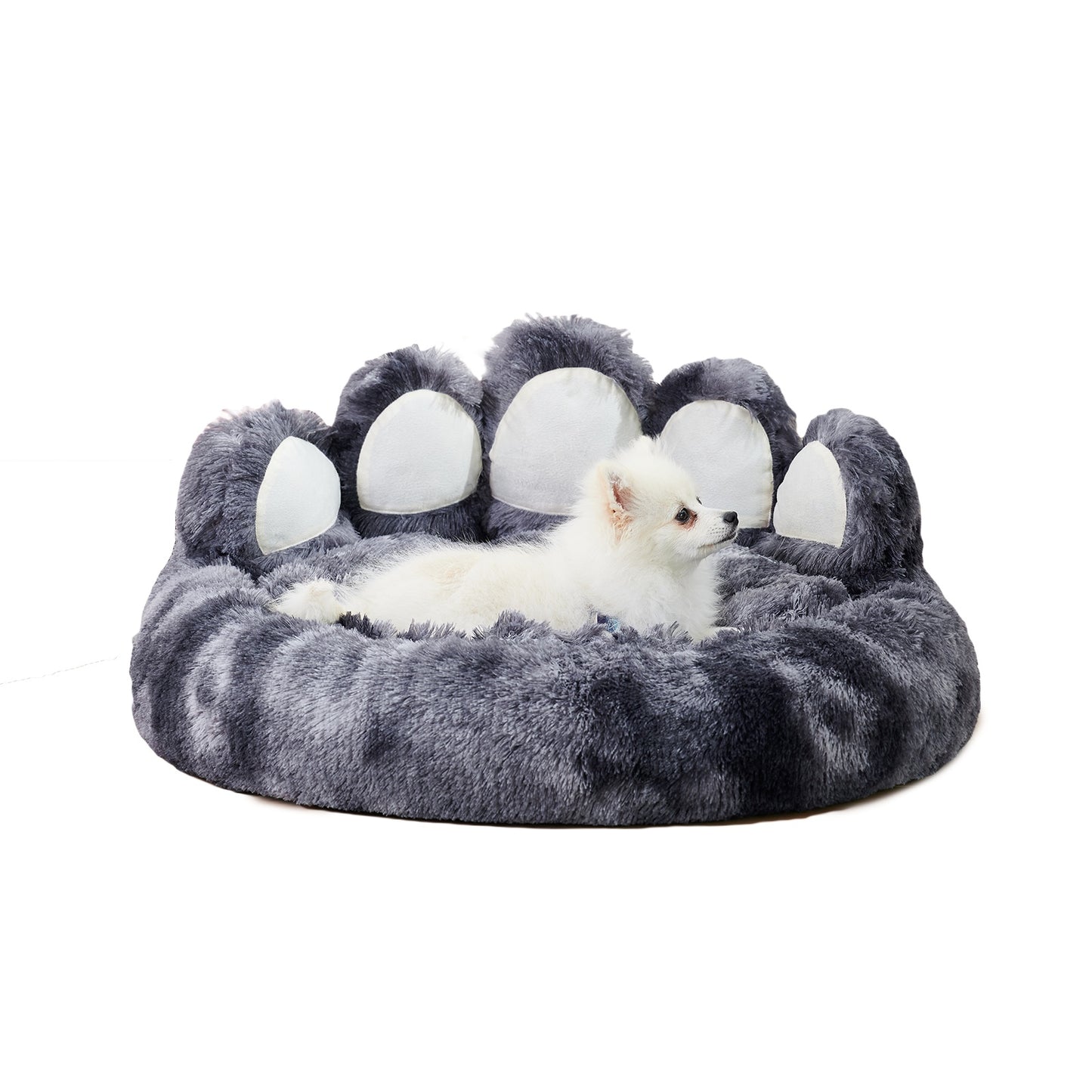 Dog or Cat Beds & Furniture
