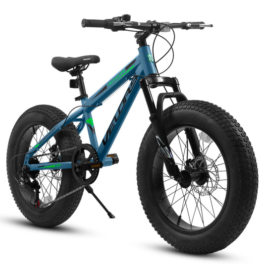 V20235 20 Inch Fat Tire Bike 7 Speed Mountain Bike