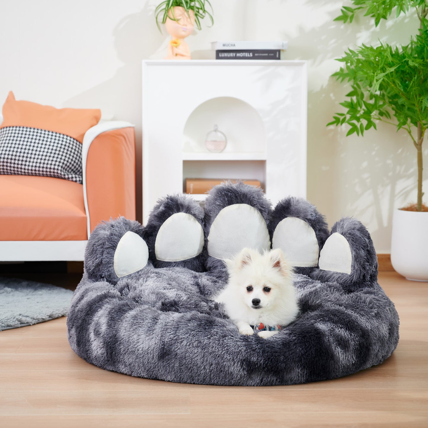 Dog or Cat Beds & Furniture