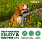 Flea And Tick Prevention For Dogs Chewables 1