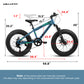 V20235 20 Inch Fat Tire Bike 7 Speed Mountain Bike